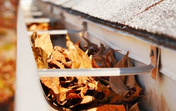 Burford gutter cleaning companies