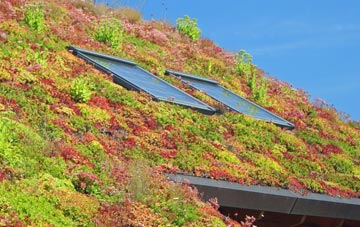 Burford living roof systems