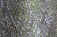 Burford fibreglass roof work